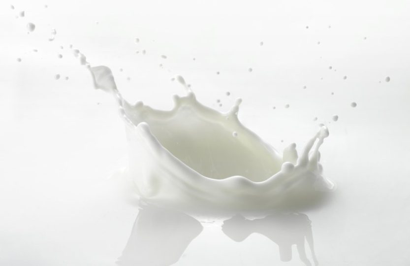 mýty o mléce